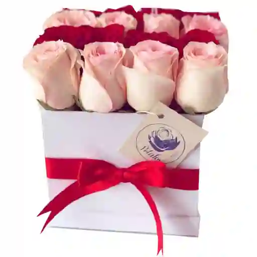 Caja cuadrada blanca 16 rosas rosadas y rojas