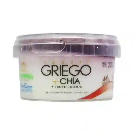 San Martin Yogurt Griego