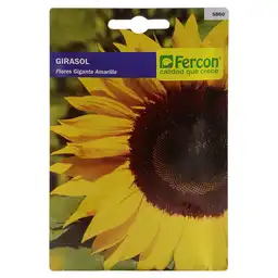 Semillas Flor de Girasol Fercon Sku 163239. Sku 7702899958600