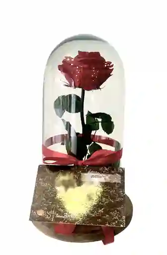 Rosa Roja en Cúpula de Cristal Preservada