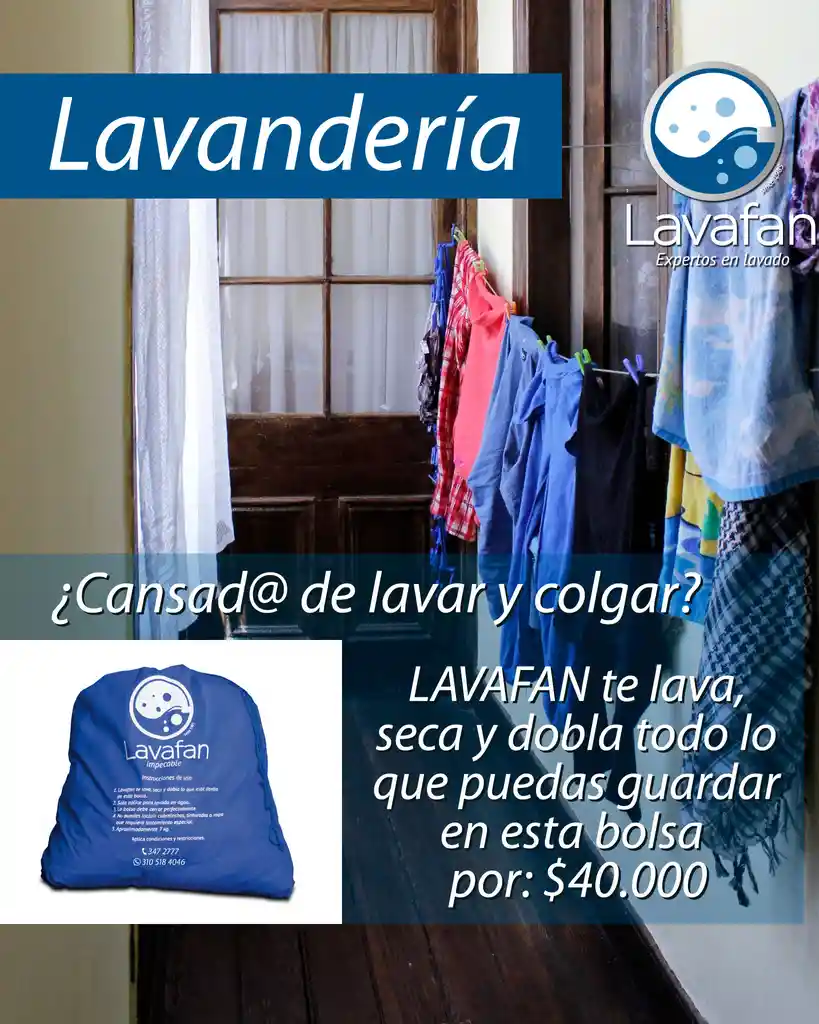 2 Bolsa De Lavanderia (40 Libras)