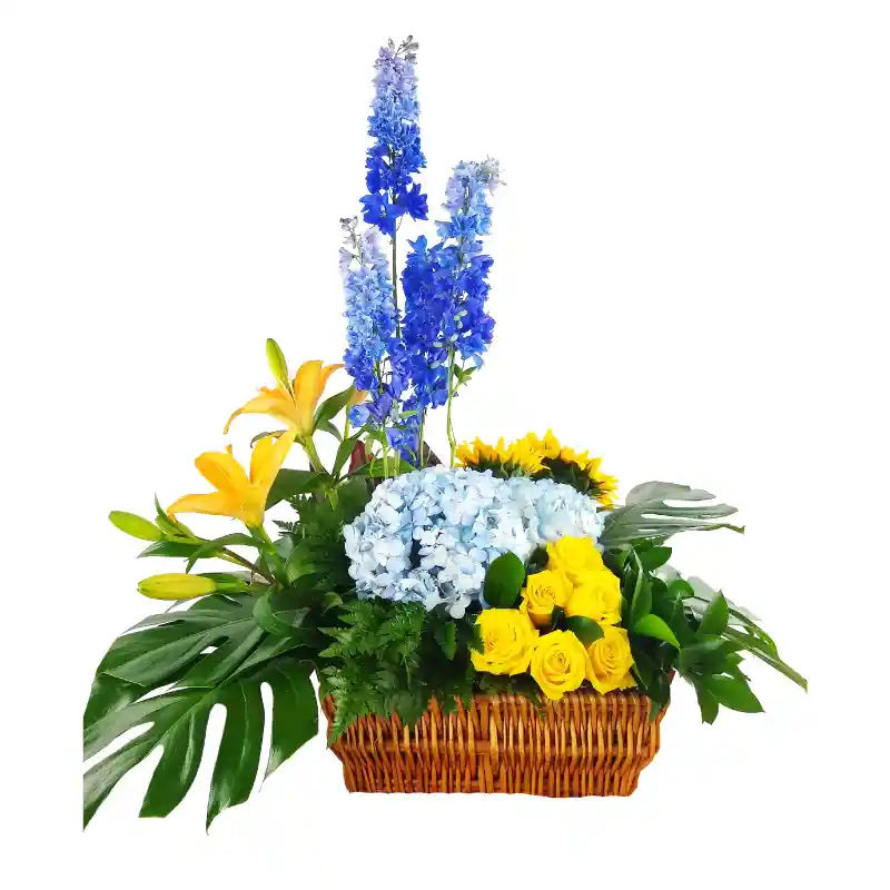 Arreglo naturaleza pura