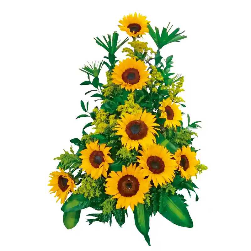 Arreglo bellos girasoles