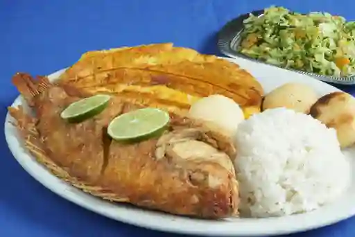 Tilapia Frita