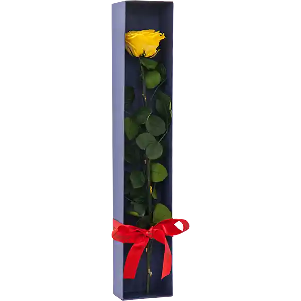 Caja Rosa Premium Amarilla