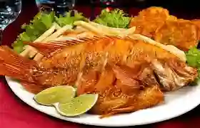 Mojarra Frita o Apanada 250gr