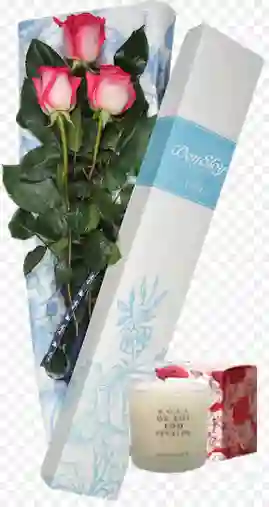 Rosas Rojas X 3 En Caja Azul + Vela