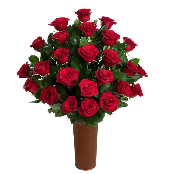 25 Rosas Rojas de Exportación