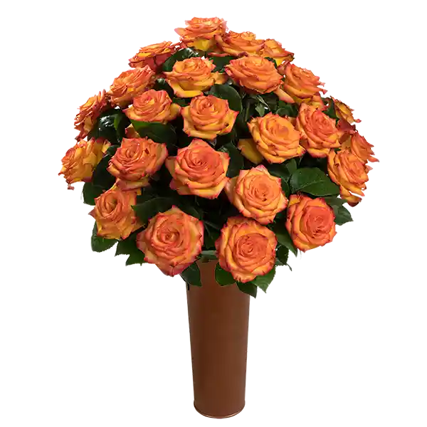 25 Rosas Bicolor Amarillo y Naranja de Exportación