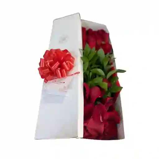 Caja de Rosas X12