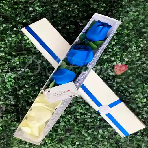 Caja de rosas Azules X3