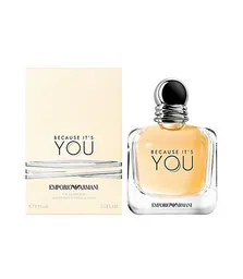 Giorgio Armani Becouse Its You Edp 3.4 Oz Dm