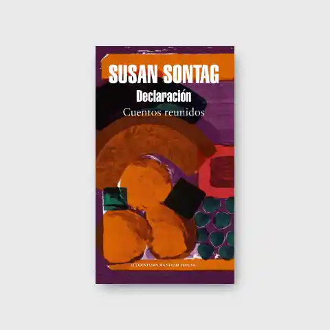 Declaración Cuentos Reunidos - Sontag Susan