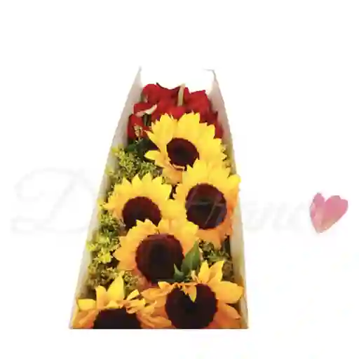 Caja Girasoles