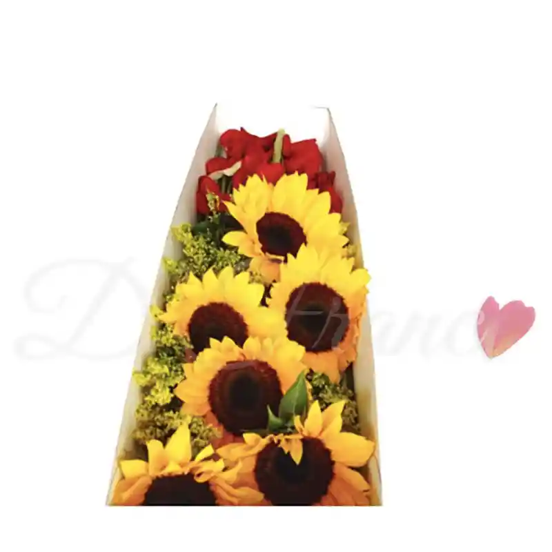 Caja Girasoles