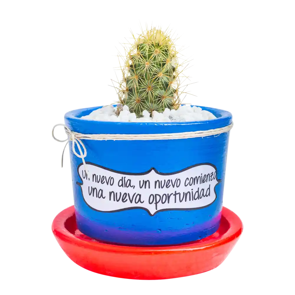 Cactus mensaje motivación
