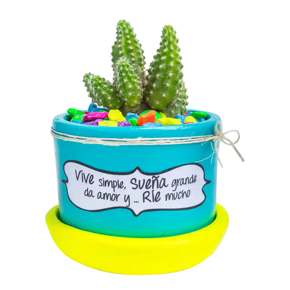 Cactus mensaje motivación