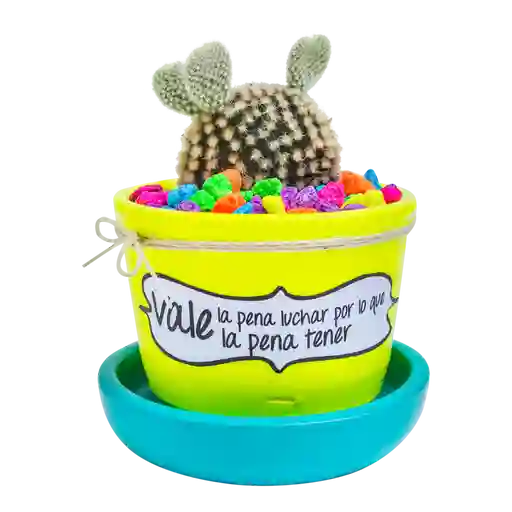 Cactus mensaje motivación