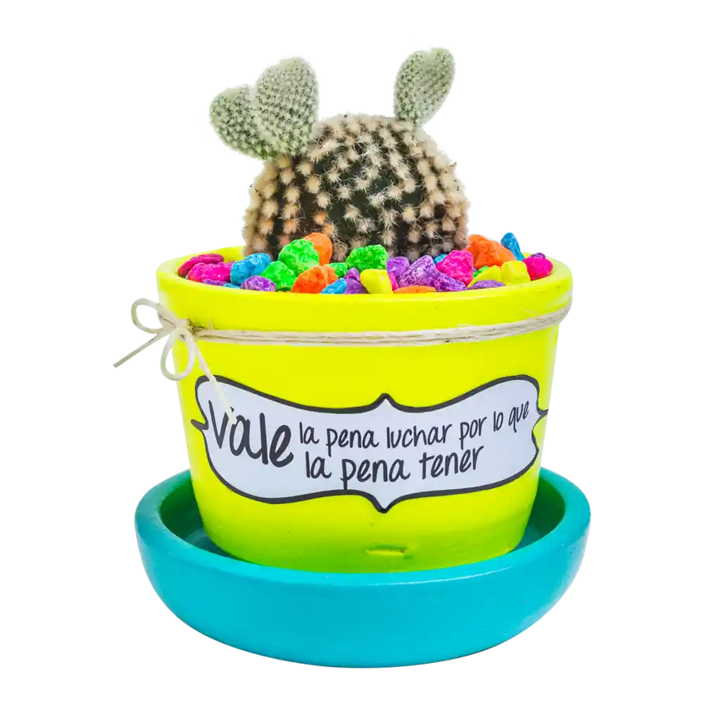 Cactus mensaje motivación