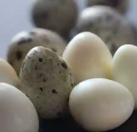 Porcion de Huevos de Codornis