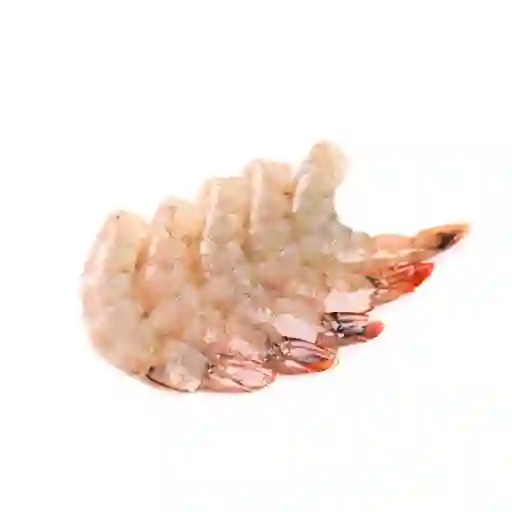 Portum Pesquera Langostino Mediano