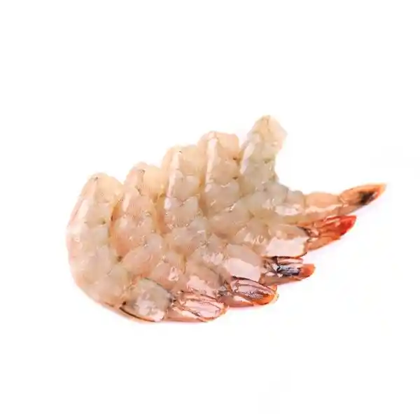 Portum Pesquera Langostino Mediano