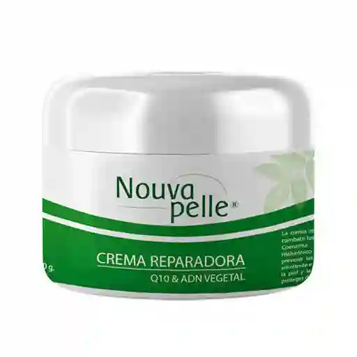 Q10 Crema Reparadoranouva Pelle