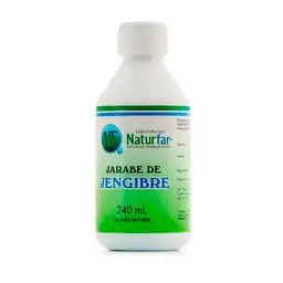 Jengibre Naturfar Jarabe De