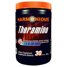 Theramino 384 g