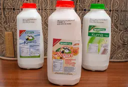 Yogurt Envase Litro