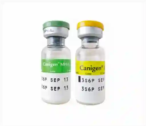 Canigen Triple (Moq/Hep/Lep) X 1 Dosis