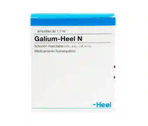Galium Amp X 1.1 Ml
