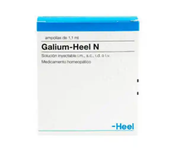 Galium Amp X 1.1 Ml