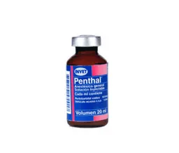 Penthal Iny Fco X 20 Ml