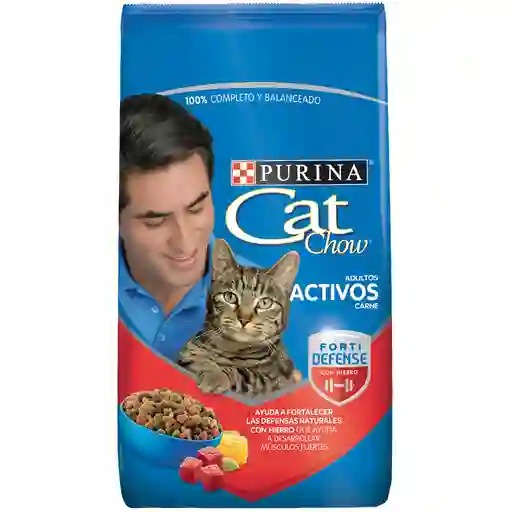 Cat Chow Ad Carne (Activo) - 500 Gr