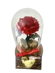 Rosa Roja Preservada en Cúpula de Cristal