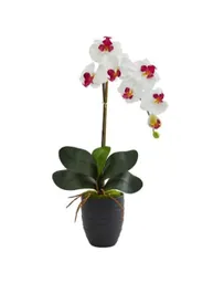 Orquidea Flor B.Fucsia Con Matera Plastica