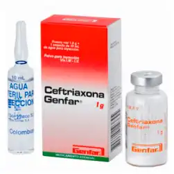 Ceftriaxona