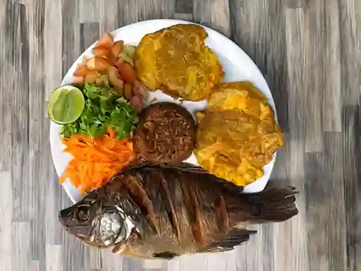 Mojarra Plateada