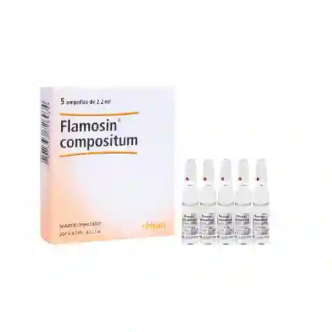 Flamosin Comp Inyectable X 5 Amp