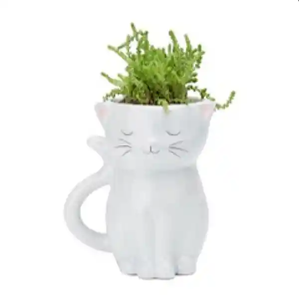 Inusual Design Matera Cat Planter