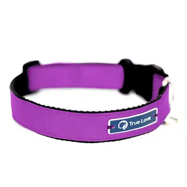 Collar Portaplaca Para Perros - Color Violeta Talla XL