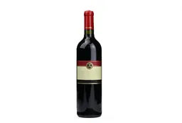 Vino Cameleon Nuvó Malbec-Merlot 750 ml
