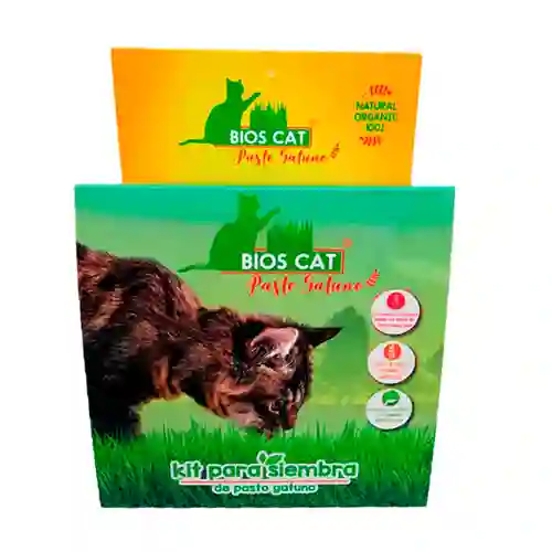 Set Para Siembra Pasto Gatuno