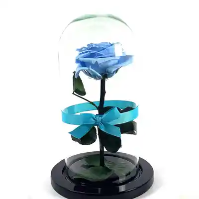 Rosa Eterna Azul Cenicienta en Urna 1 U