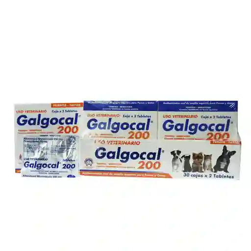 Galgocal 200 Antiparasitario 2 Tabletas