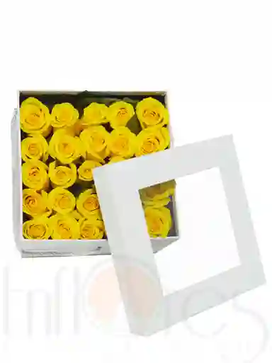 Arreglo Floral de 48 Rosas Moderna