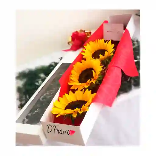 Caja de girasoles X3