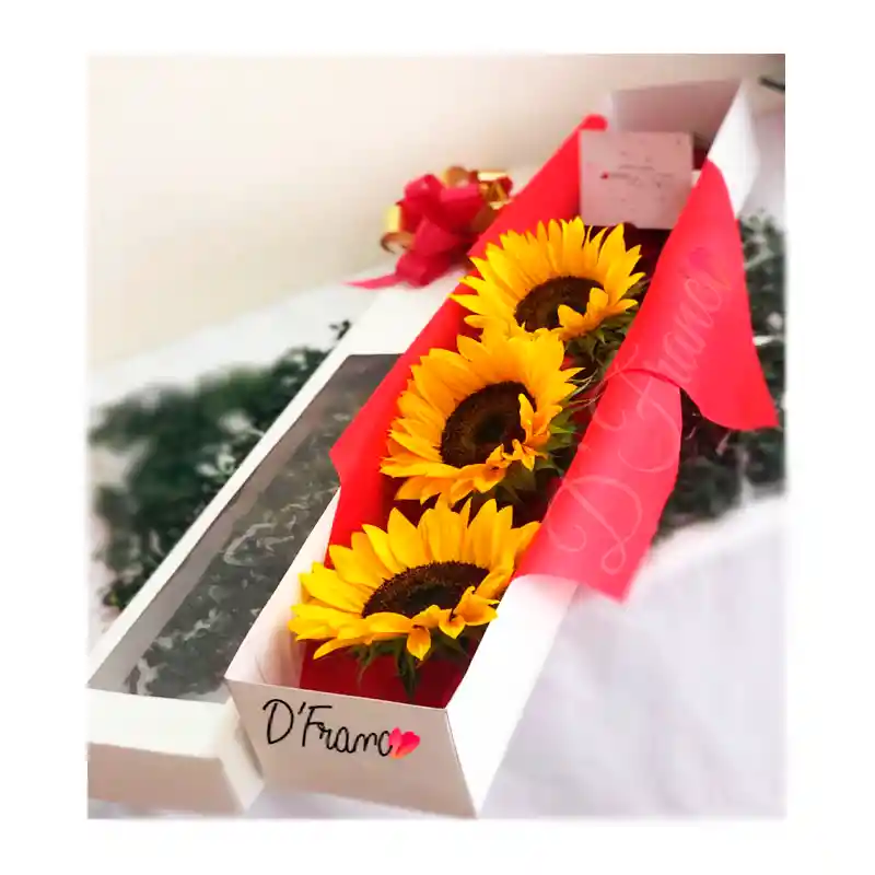 Caja de girasoles X3