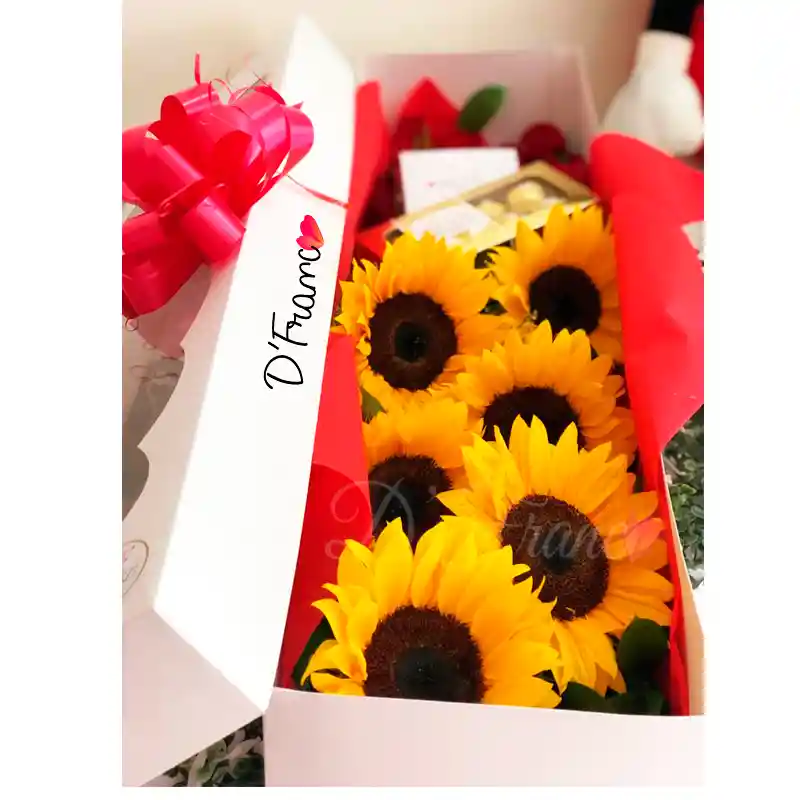 Caja de girasoles X6